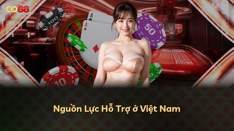 Nguồn Lực Hỗ Trợ ở Việt Nam
