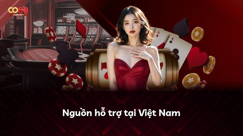 Nguồn hỗ trợ tại Việt Nam
