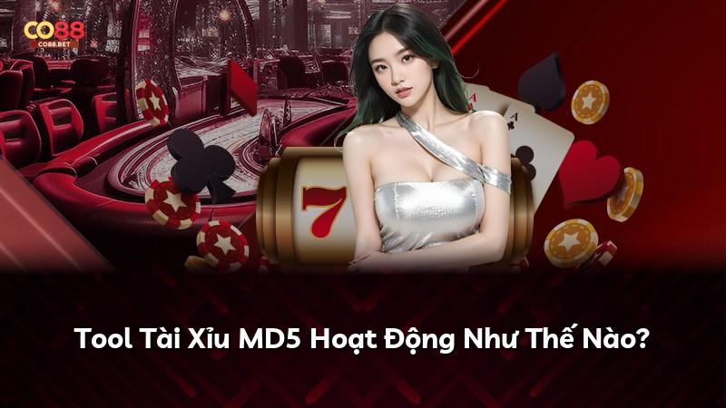 Tool Tài Xỉu MD5 Hoạt Động Như Thế Nào?