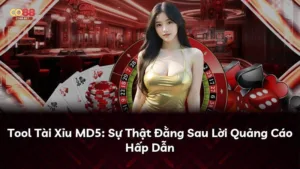 Tool Tài Xỉu MD5: Sự Thật Đằng Sau Lời Quảng Cáo Hấp Dẫn
