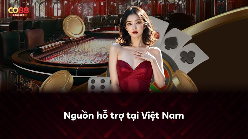 Nguồn hỗ trợ tại Việt Nam